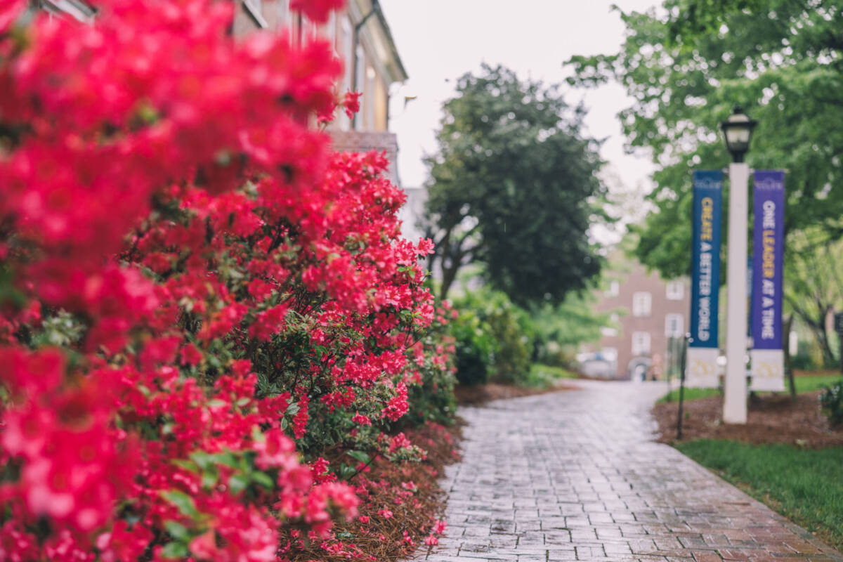 Flowers on Salem campus