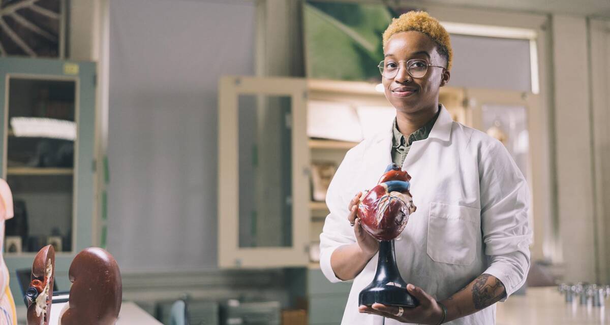 Salem College student holding a 3-D model of a human organ