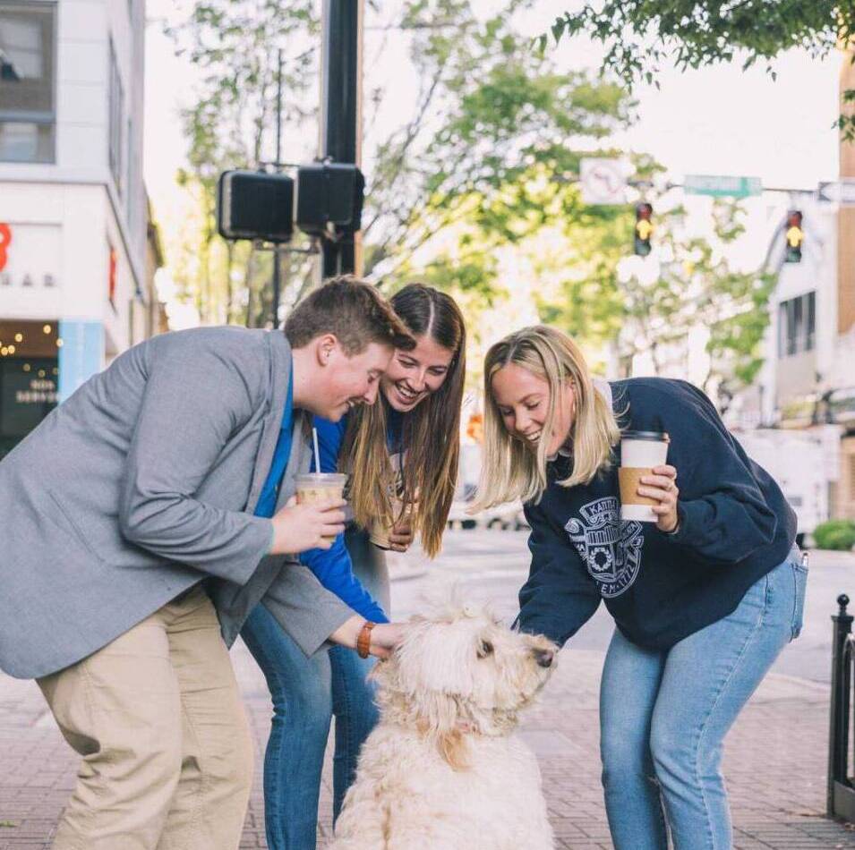 Three students petting a dog in downtown Winston Salem