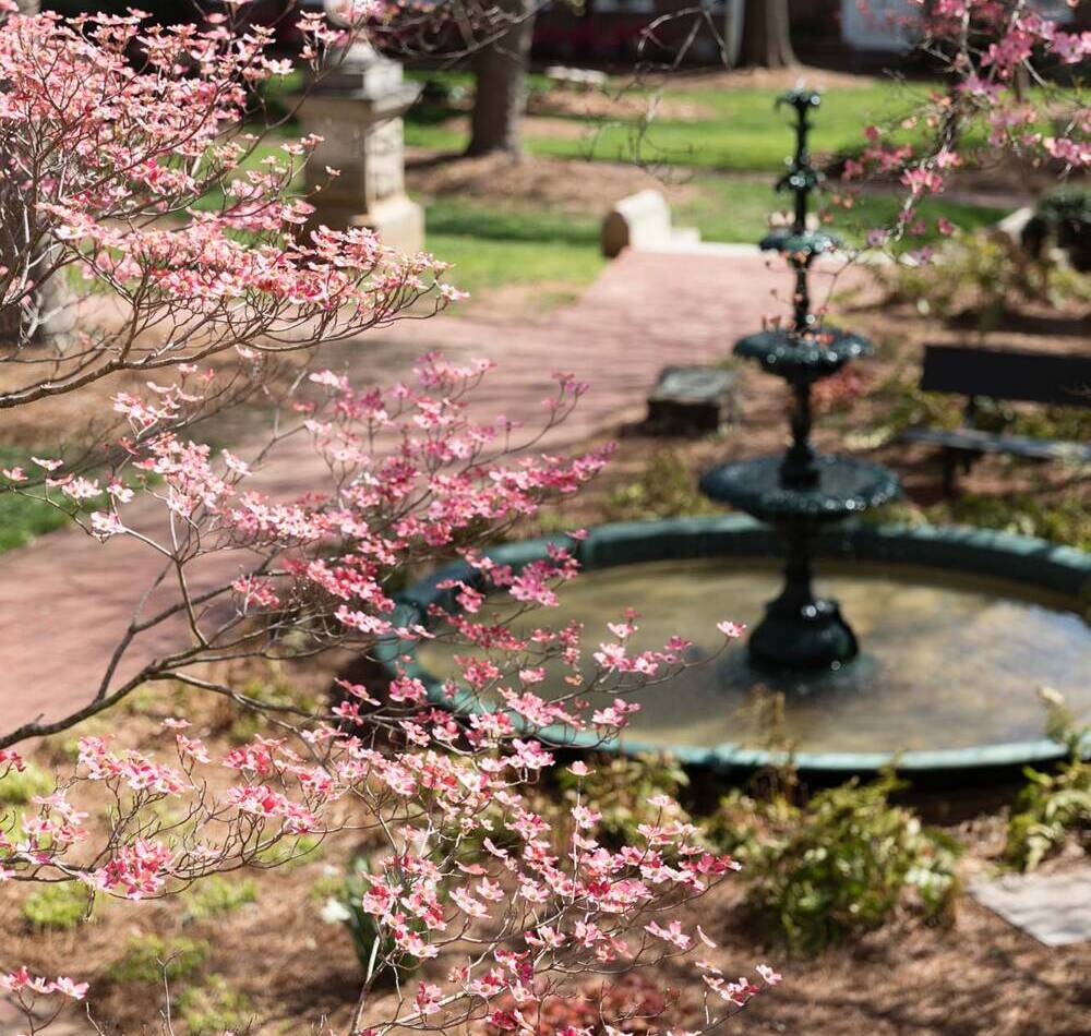 Spring foliage on campus of Salem College