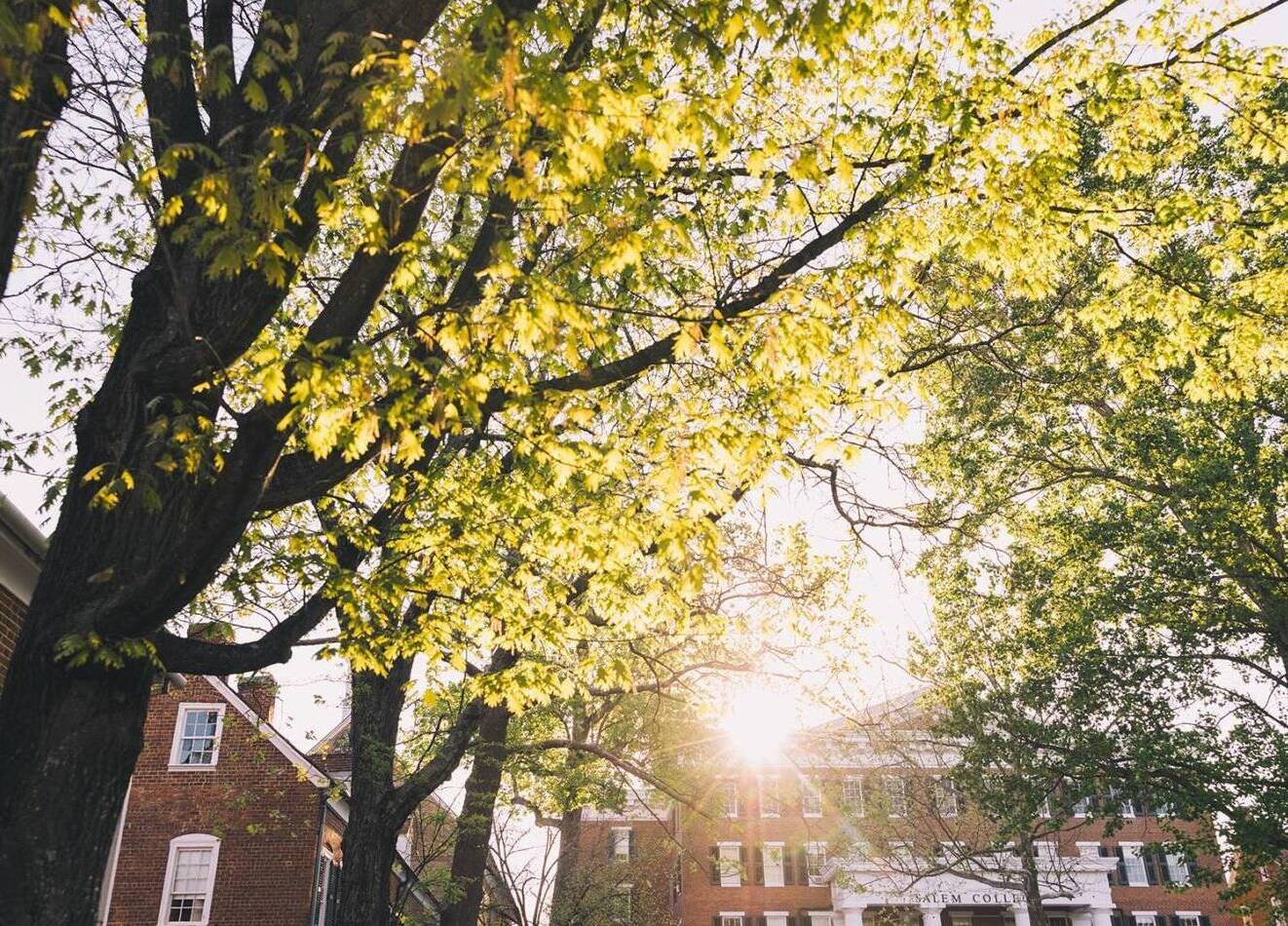 View of Salem College Campus through the trees