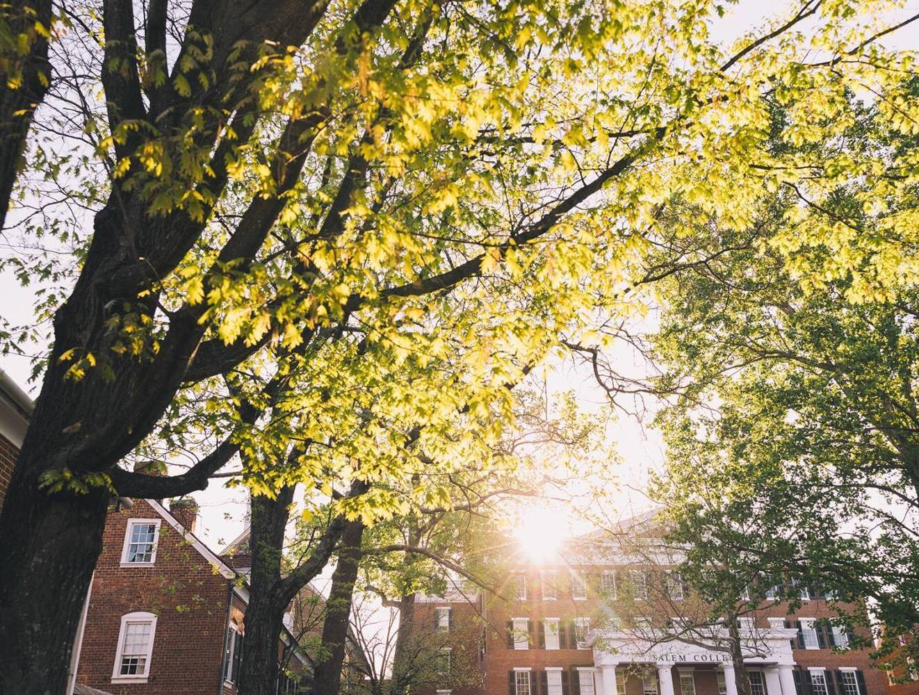 View of Salem College Campus through the trees