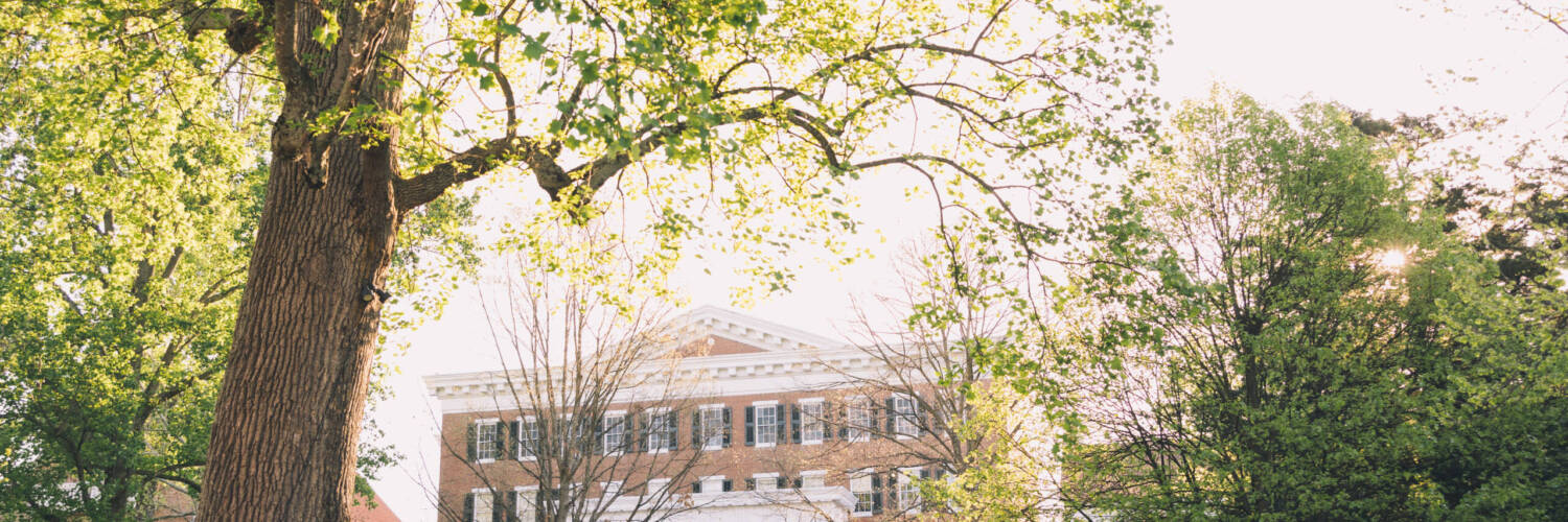 Salem College building surrounded by trees