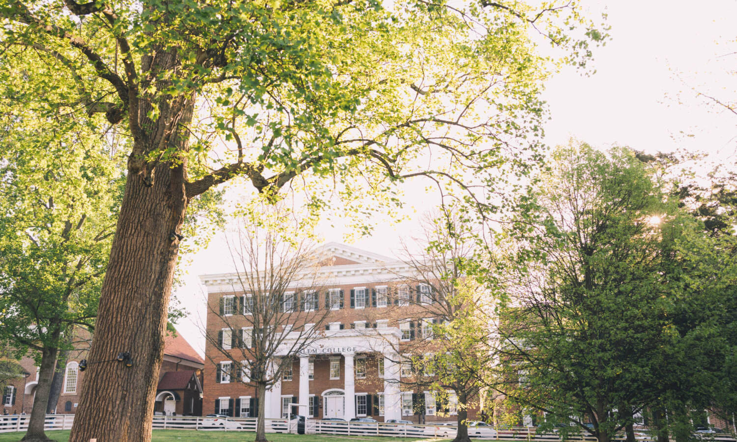 Salem College building surrounded by trees