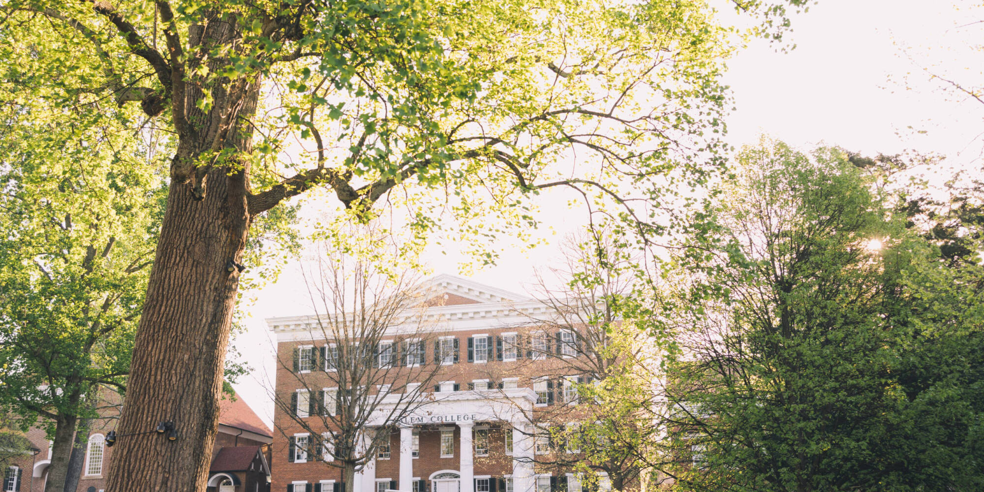 Salem College building surrounded by trees