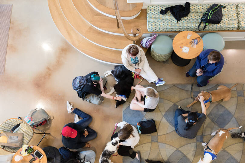 Photo of students gathered in student center